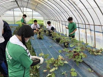 熊本ボランティアに行ってきました！