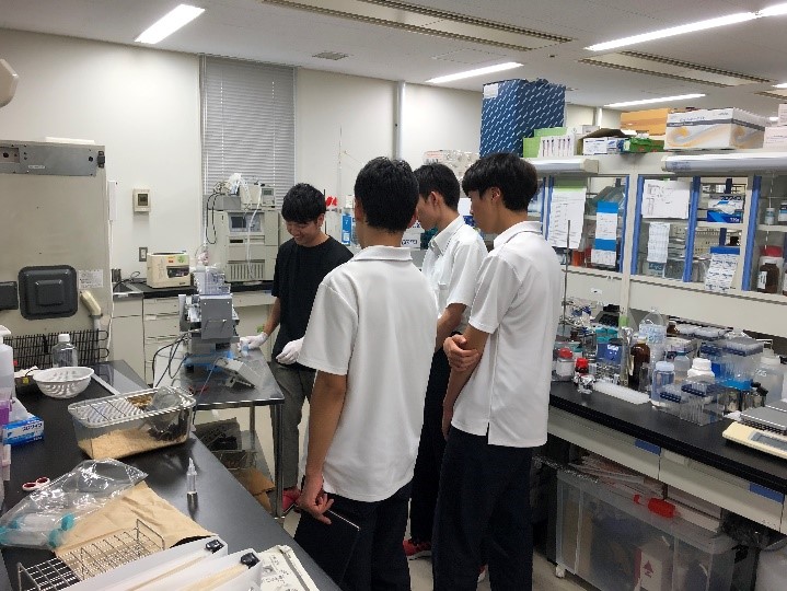 高校2年生 高大連携授業 薬学部